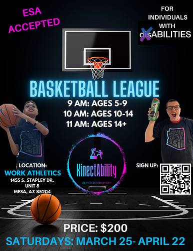 Basketball League for Individuals with disABILTIES
