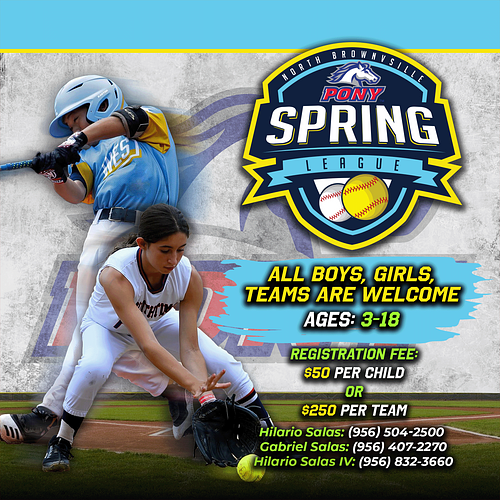 Brownsville Pony League