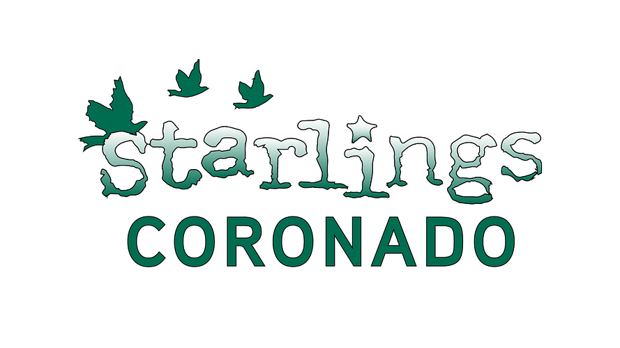 All Skills Volleyball Class with Coach Alana & Coach Mauricio