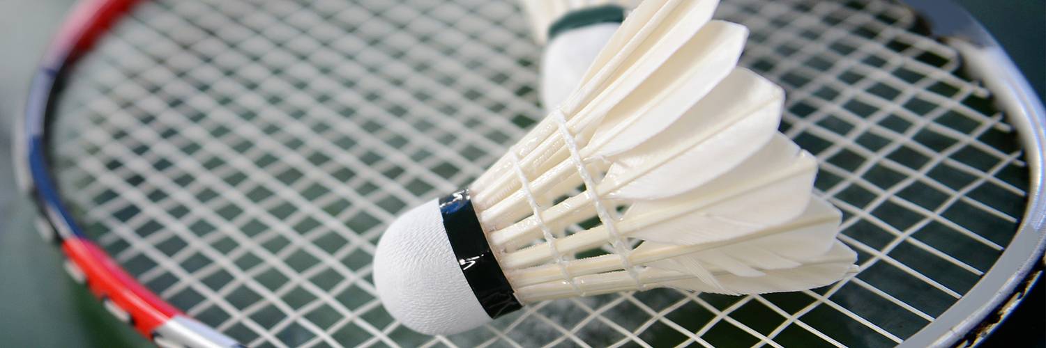  Watergun Badminton  Association 