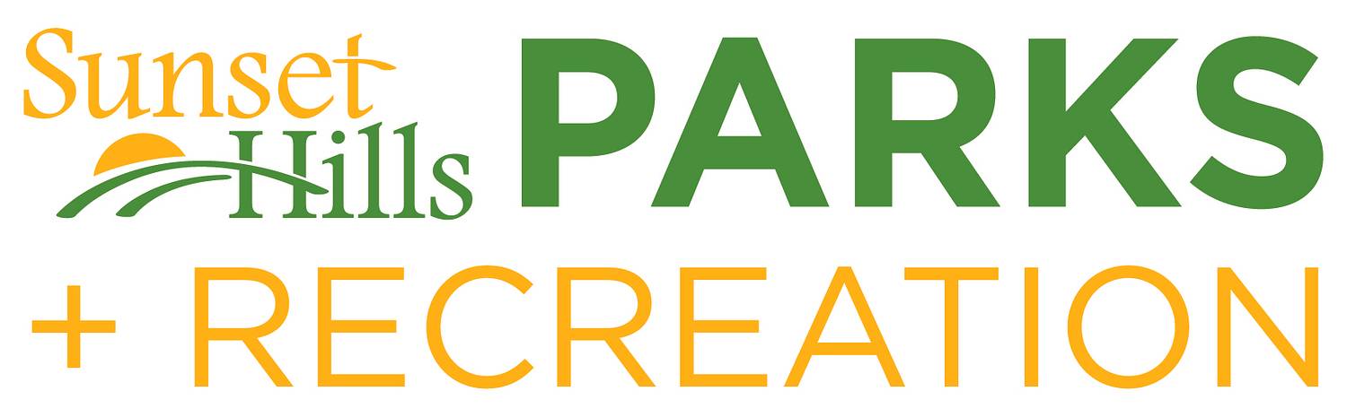 Adult Softball Leagues