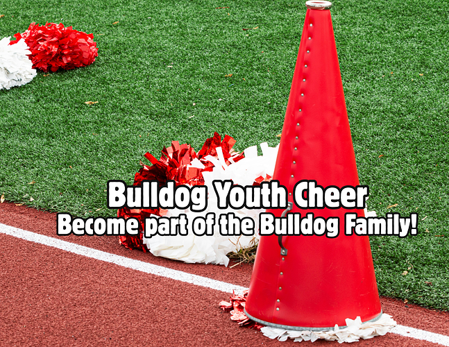 Bulldog Youth Cheer Program