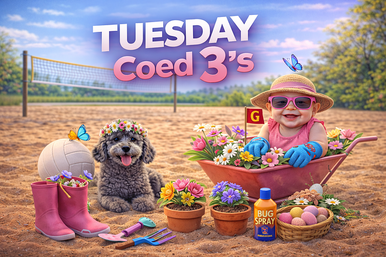 (Spr2.0) TUESDAY Coed 3's - 6 Week