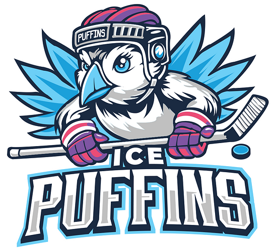 All-Girls 3v3 Hockey Tournament