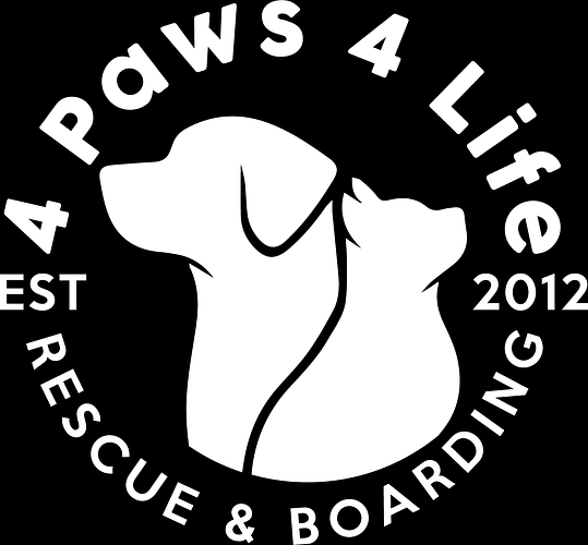 Pickleball Tournament