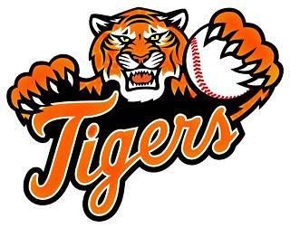 Tigers Baseball Program