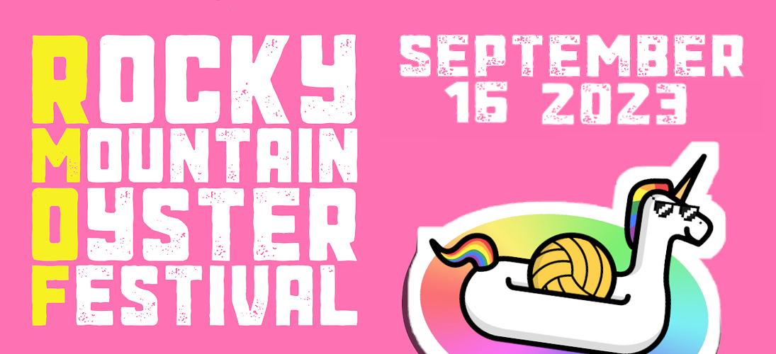 Inner Tube Polo Games