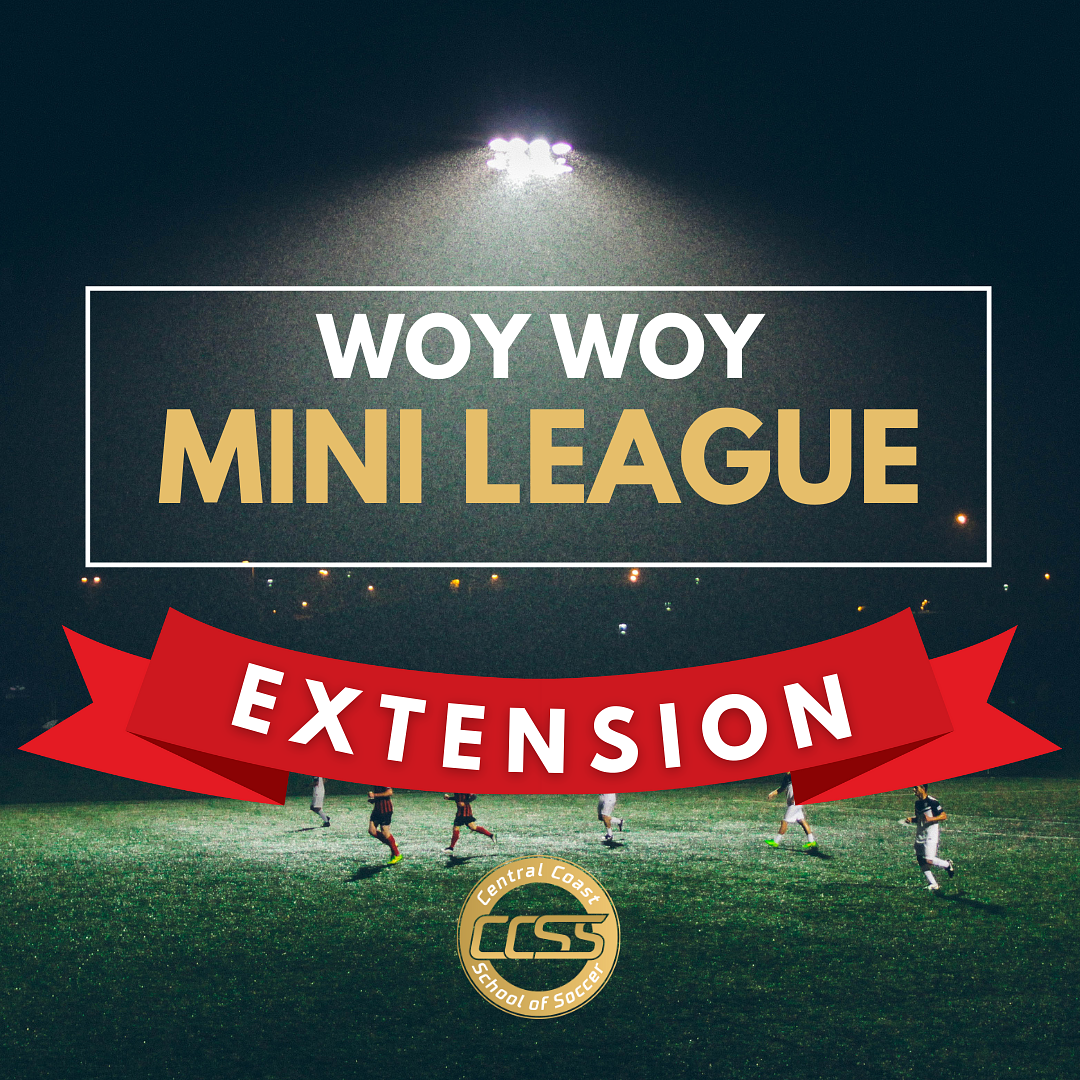 Mini League Extension