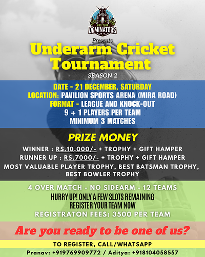 UNDERARM CRICKET TURF TOURNAMENT