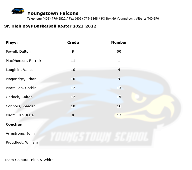 Youngstown Falcons Sr. High Boys Roster 2021-2022