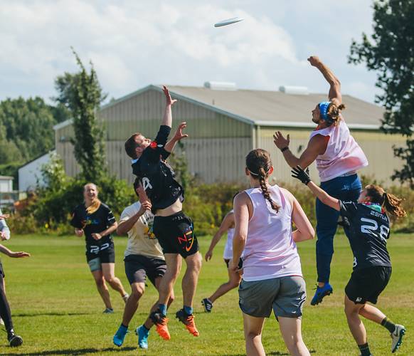 Adult Mixed Spring League 2024